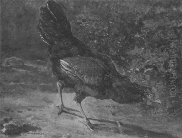 Hen - view 1