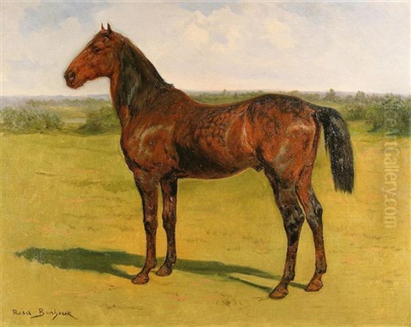 A Bay Horse In A Landscape - view 1