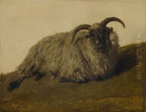 Le Merinos Le Merinos