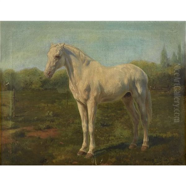 Horse In A Landscape - view 1