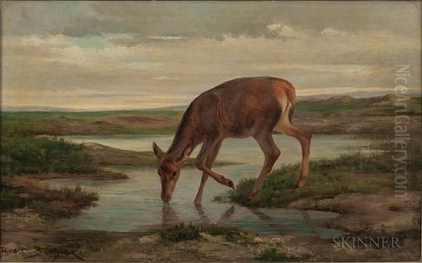 Chevreuil De Desalterant /roebuck Quenching His Thirst - view 1
