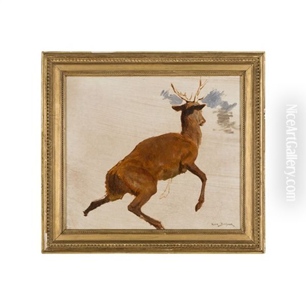 Sketch Of A Deer - view 1