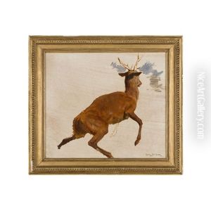 Sketch Of A Deer by Rosa Bonheur