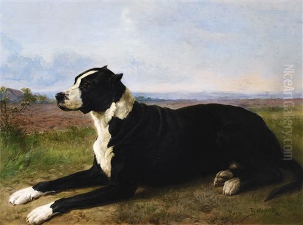 Portrait Of A Mastiff-labrador In A Landscape - view 1