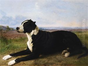 Portrait Of A Mastiff-labrador In A Landscape by Rosa Bonheur