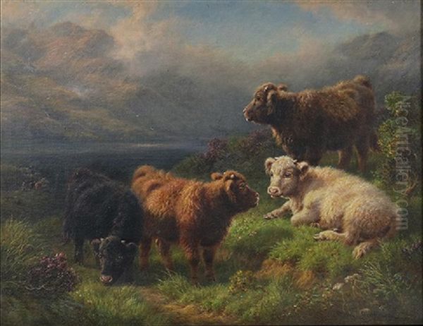 Scottish Highland Cattle - view 1