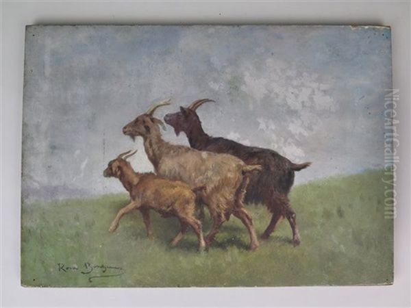 Famille De Chevres Au Paturage - view 1