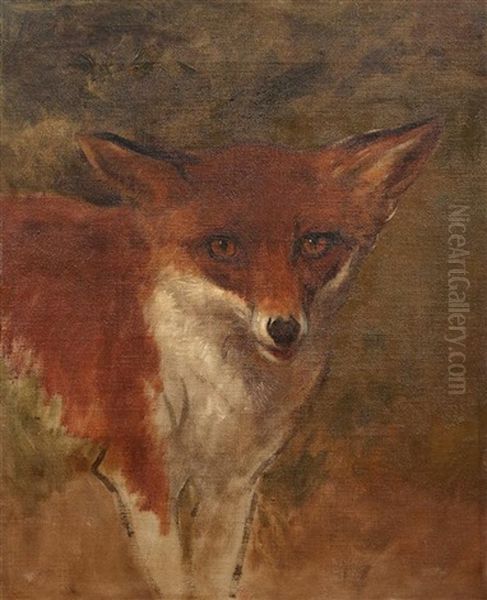 Tete De Renard - view 1