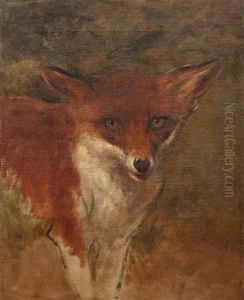 Tete De Renard
