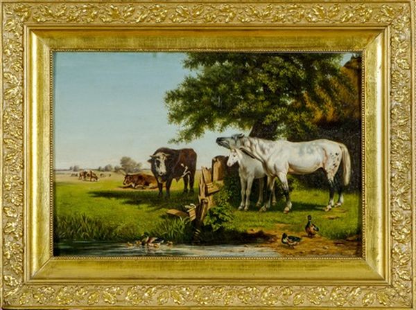 Animals - view 1