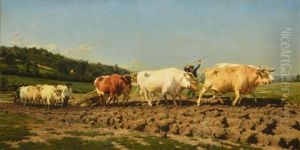 Labourage Nivernais Ou Le Sombrage by Rosa Bonheur