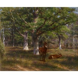 Stags In A Wood