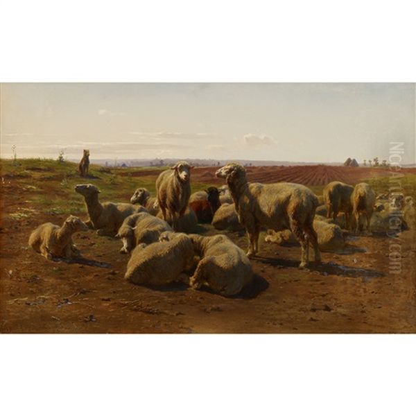 Watching Over The Flock - view 1