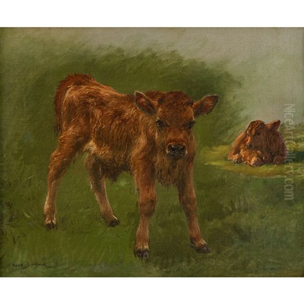 Souvenir (calves) - view 1