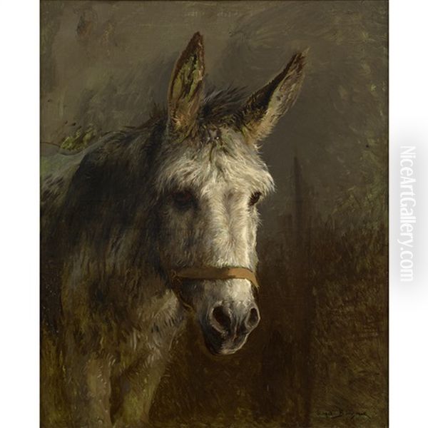 Portrait Of A Donkey - view 1