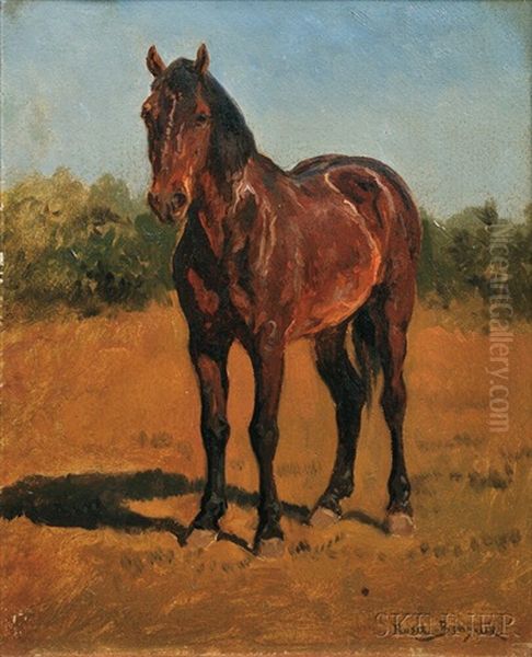 Study Of A Standing Horse - view 1