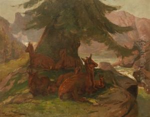 Chamois Sous Un Sapin