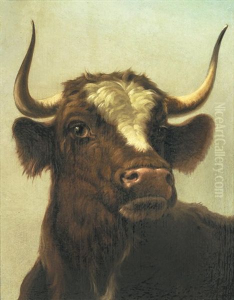 Study Of A Steer; Study Of A Donkey One 31 X 23.5cm (12 3/16 X 9 1/4in), The Other 29.5 X 25cm (11 5/8 X 9 13/16in).(2) - view 1