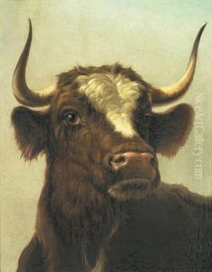 Study Of A Steer; Study Of A Donkey One 31 X 23.5cm (12 3/16 X 9 1/4in), The Other 29.5 X 25cm (11 5/8 X 9 13/16in).(2)