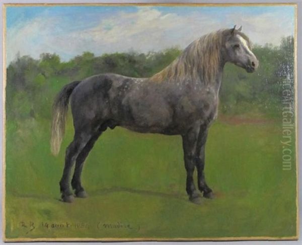 Madere, Etalon Gris Pommele - view 1
