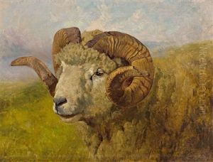 Widder by Rosa Bonheur