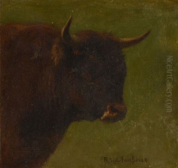 Tete De Vache - view 1