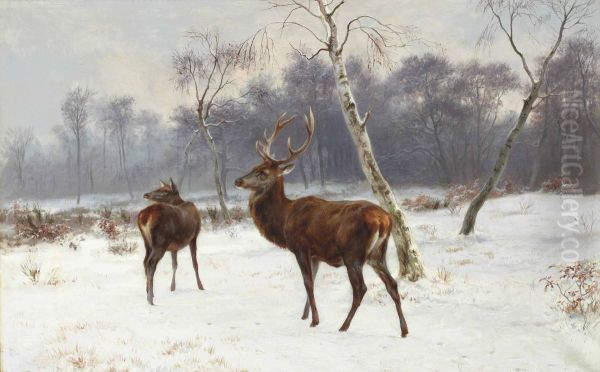 Cerf Et Biche Dans Un Paysage Enneige - view 1
