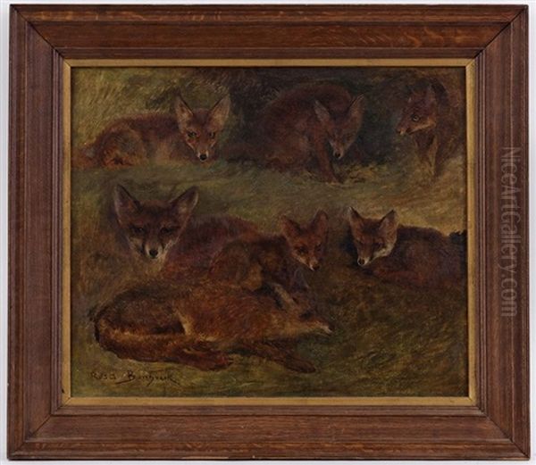 Etude De Renard Couche - view 1