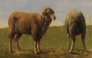 Tierstudie: Zwei Schafe (study) by Rosa Bonheur