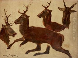 Etude De Cerf (study) by Rosa Bonheur