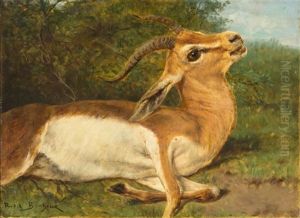 Antelope by Rosa Bonheur