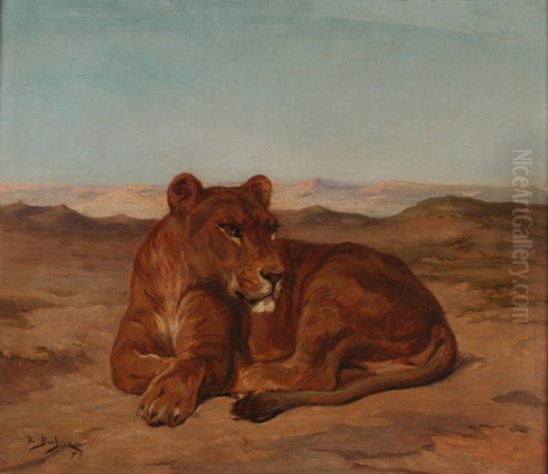 Lioness - view 1