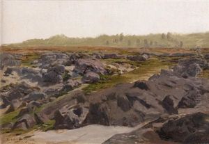 Vue De Fontainebleau: Les Roches Parmi Les Genets Et Les Bruyeres by Rosa Bonheur