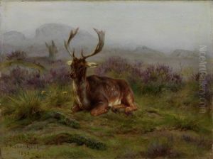 Liegender Hirsch Auf Einer Wildwiese by Rosa Bonheur