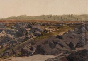 Steinige Feldlandschaft - Im Hintergrund Begrunter Hugelzug