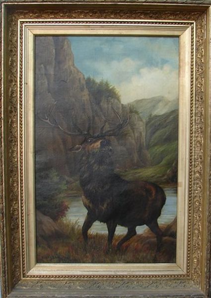 Elk By Stream - view 1