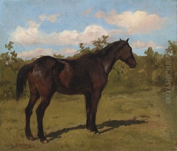 Cheval (study) - view 1