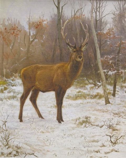 Cerf Dix Corps Aux Aguets - view 1