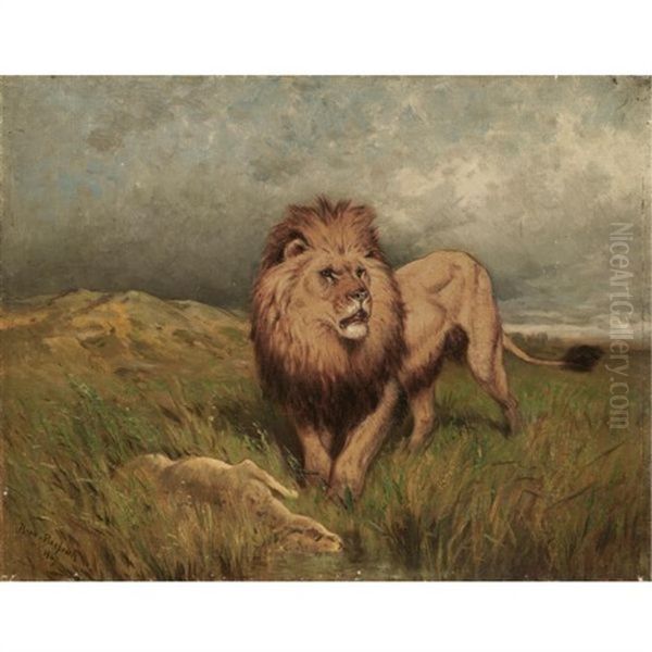 Lion And Prey-the Kill - view 1