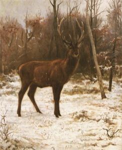 Cerf Sous La Neige by Rosa Bonheur