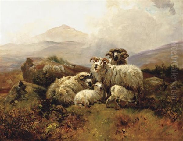 A Ram In A Field - view 1
