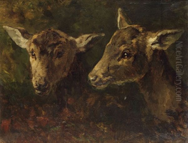 Deux Faons - view 1