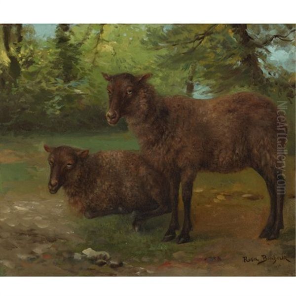 Pair Of Black Sheep - view 1