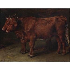 Pair Of Oxen