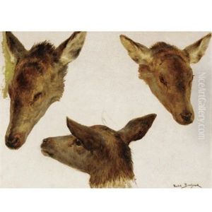 Deer Heads (studies) by Rosa Bonheur