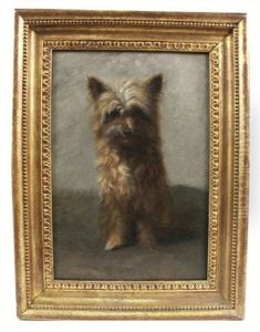 Terrier