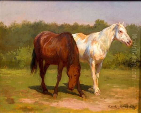 Horses - view 1