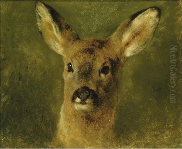 Head Of A Deer - view 1