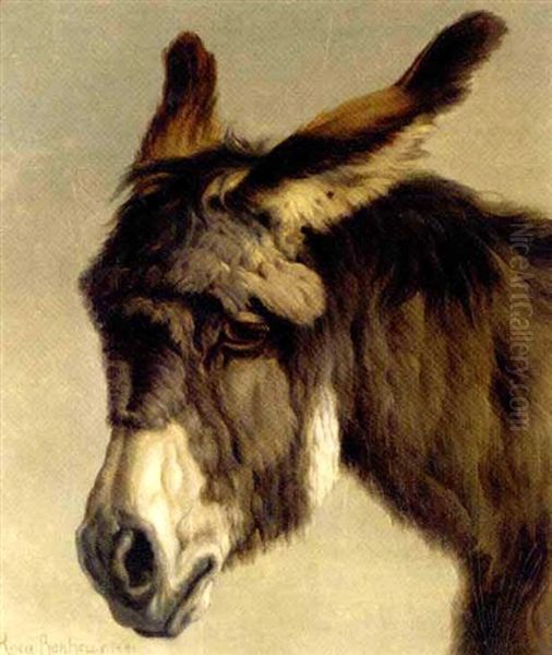 Head Of A Donkey - view 1