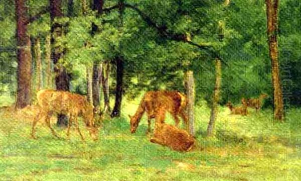Deer Grazing In A Glade - view 1